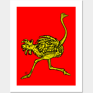 RUNNING OSTRICH .3 Posters and Art